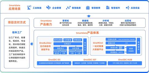 中国软件网对话数睿数据CEO|深挖数据驱动的企业级无代码